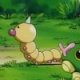 Wild's Weedle