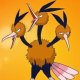 Wild's Dodrio