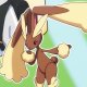 Wild's Lopunny