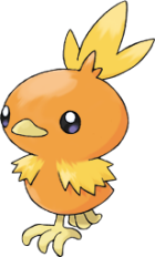 Torchic Art