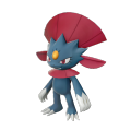 Weavile