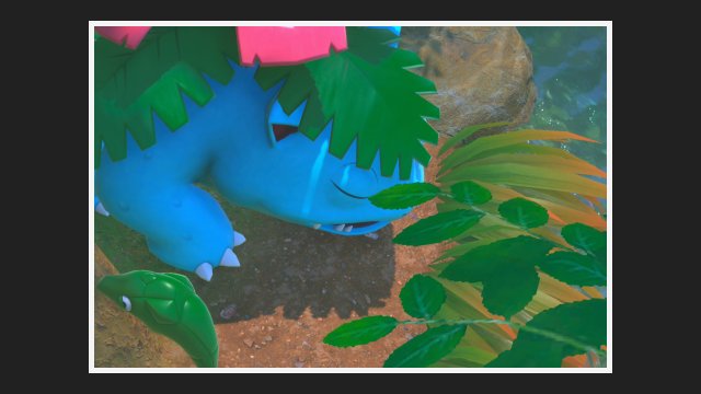 Venusaur at Jungle (Day)