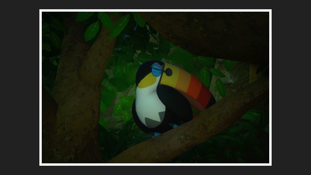 Toucannon at Jungle (Night)