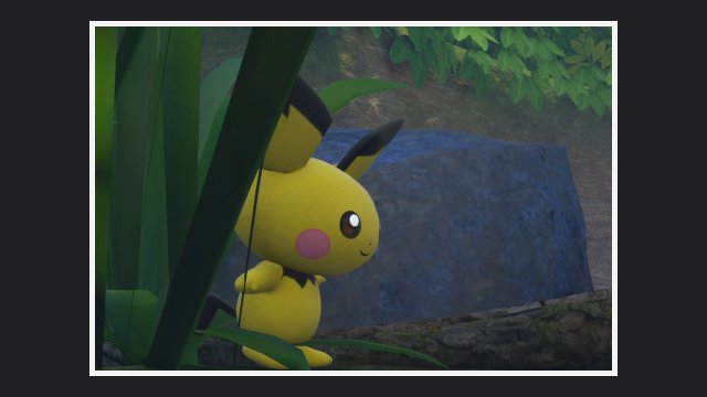 Pichu at Side Path (Day)