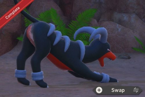 Houndoom's Breather Example Picture