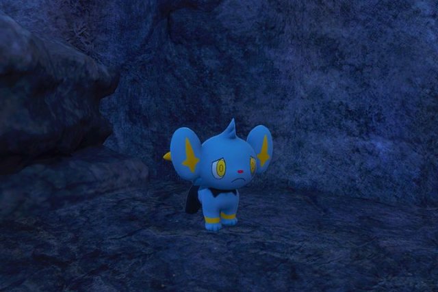 Little Lost Shinx