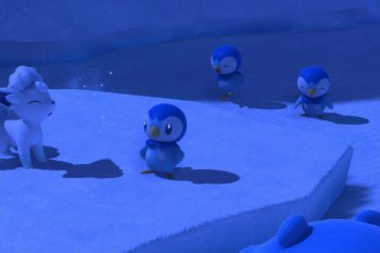 Piplup - 4 Star Photo - New Pokémon Snap