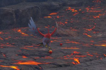 Talonflame - 4 Star Photo - New Pokémon Snap