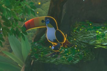 Toucannon - 3 Star Photo - New Pokémon Snap