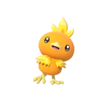 Torchic New Pokémon Snap Extra Sprite