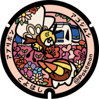 Aichi - Toyohashi PokéLid