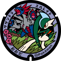 Shimane - Odai PokéLid