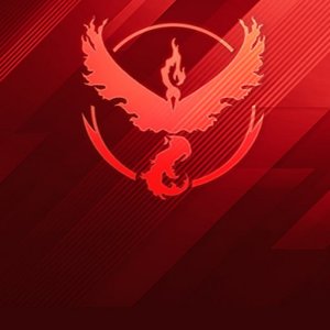 Team Valor