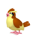 Pidgey in Pokémon HOME