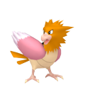 Spearow in Pokémon HOME