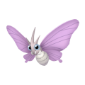 Venomoth in Pokémon HOME