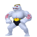 Machoke in Pokémon HOME