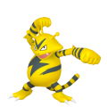 Electabuzz in Pokémon HOME