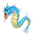 Male Gyarados