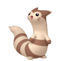 Furret in Pokémon HOME