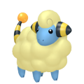 Mareep in Pokémon HOME