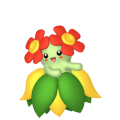 Bellossom in Pokémon HOME