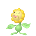 Sunflora in Pokémon HOME