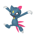 Female Sneasel