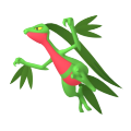 Grovyle in Pokémon HOME