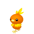 Torchic in Pokémon HOME