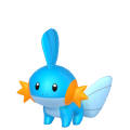 Mudkip in Pokémon HOME