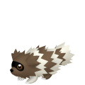 Zigzagoon in Pokémon HOME