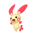 Plusle in Pokémon HOME