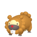 Bidoof in Pokémon HOME