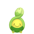 Budew in Pokémon HOME