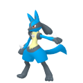 Lucario in Pokémon HOME