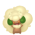 Whimsicott in Pokémon HOME