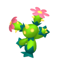 Maractus in Pokémon HOME