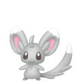 Minccino in Pokémon HOME