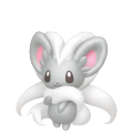 Cinccino in Pokémon HOME