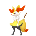 Braixen in Pokémon HOME