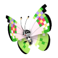 Vivillon (Fancy Pattern) in Pokémon HOME