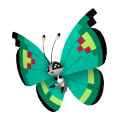 Vivillon (Garden Pattern) in Pokémon HOME