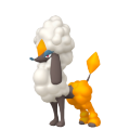 Furfrou (Diamond Trim) in Pokémon HOME