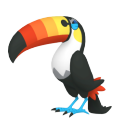 Toucannon in Pokémon HOME