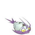 Wimpod in Pokémon HOME