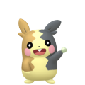 Morpeko in Pokémon HOME