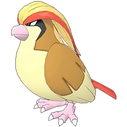 Pidgeot