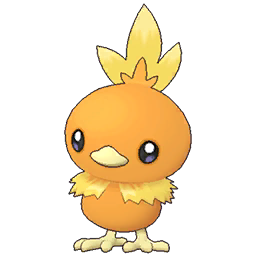 Torchic