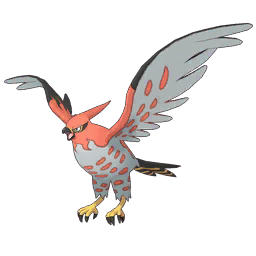 Talonflame Image